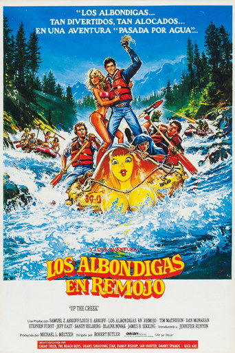 Póster de Río de locura