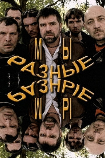Póster de We Are the Different