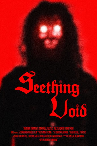 Póster de Seething Void