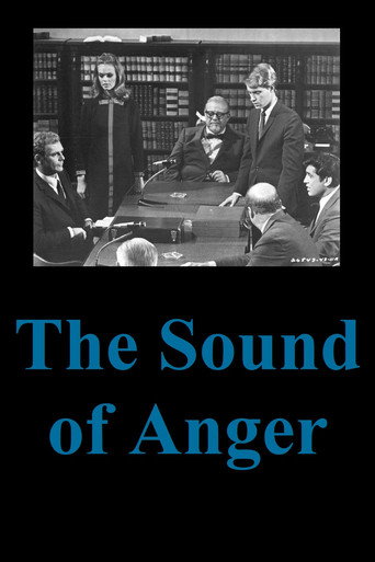 Póster de The Sound of Anger