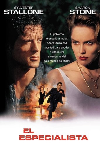 Póster de El Especialista