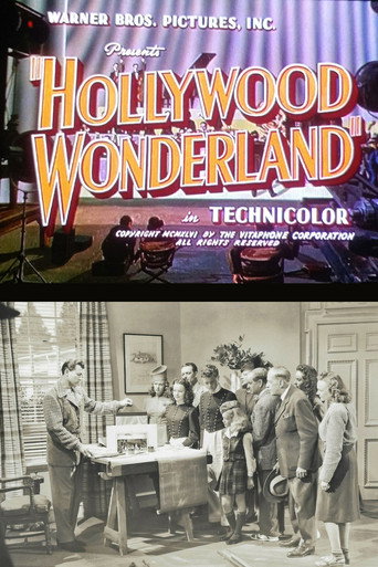 Póster de Hollywood Wonderland