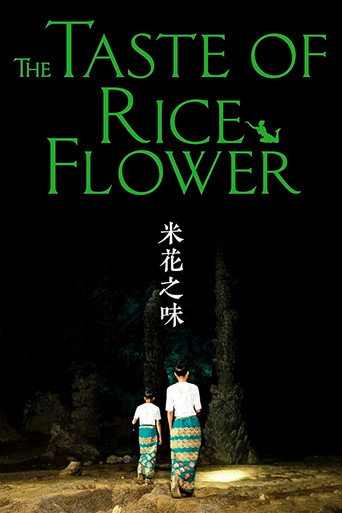 Póster de 米花之味
