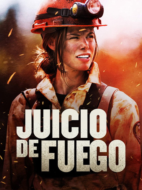 Póster de Trial by Fire