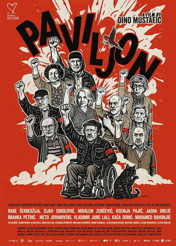 Póster de Paviljon