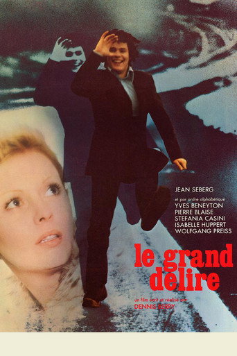 Póster de Le grand délire