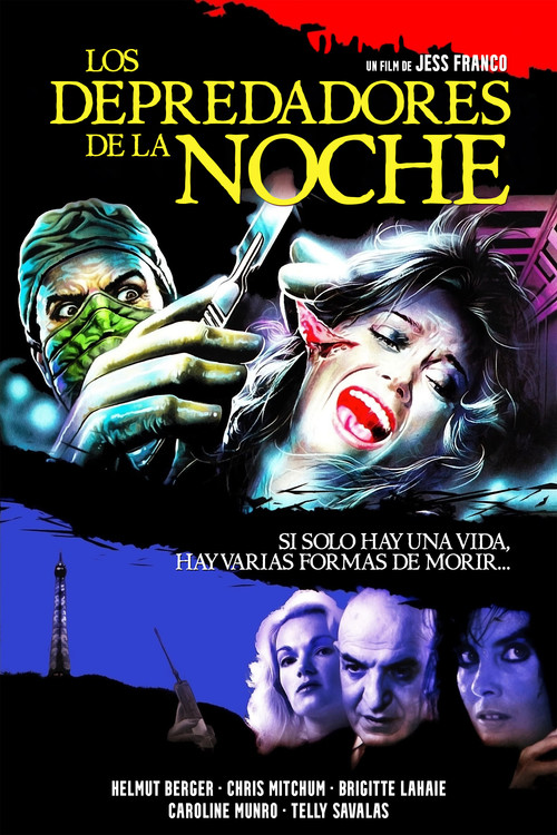 Póster de Faceless