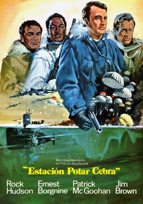 Póster de Estación polar Zebra