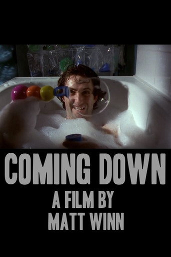 Póster de Coming Down