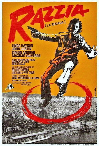 Póster de La redada