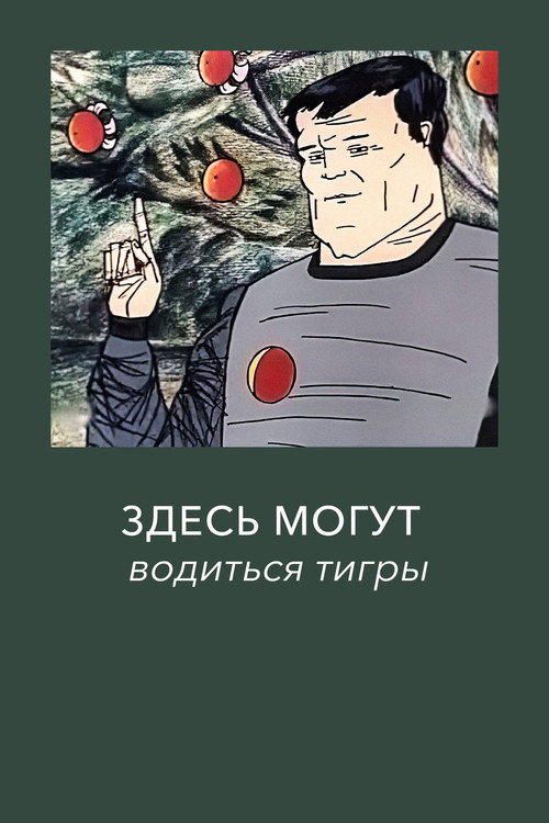 Póster de Здесь могут водиться тигры