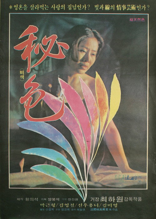 Póster de 비색