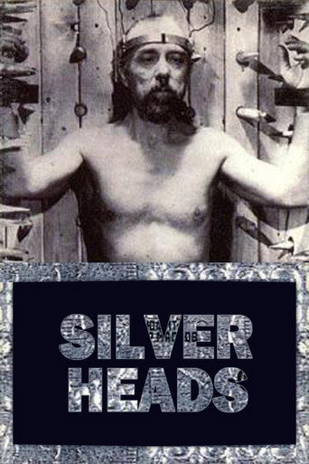Póster de Silver Heads