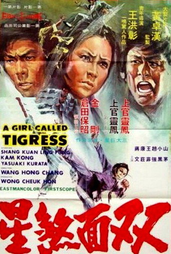 Póster de 雙面女煞星