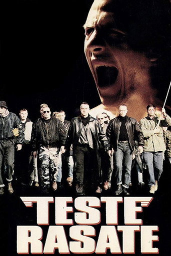 Póster de Teste rasate
