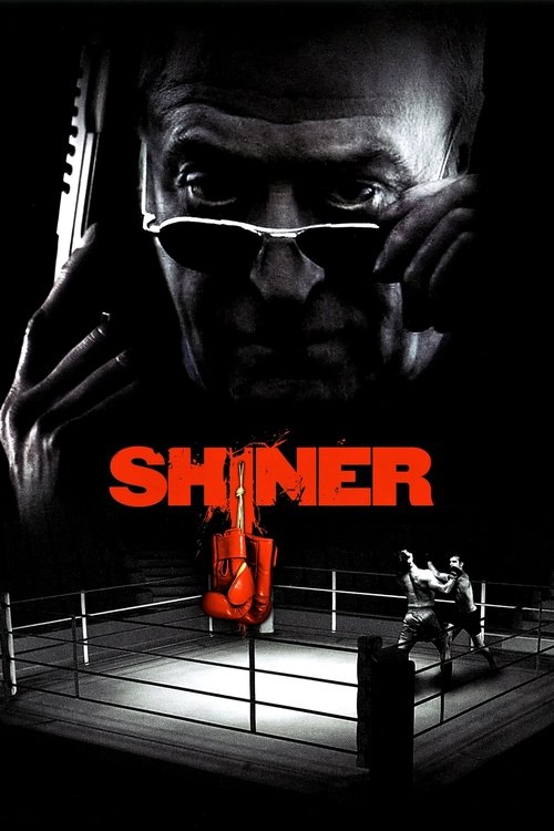 Póster de Shiner