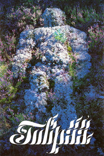 Póster de Tulipää