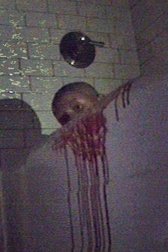 Póster de the ghost house