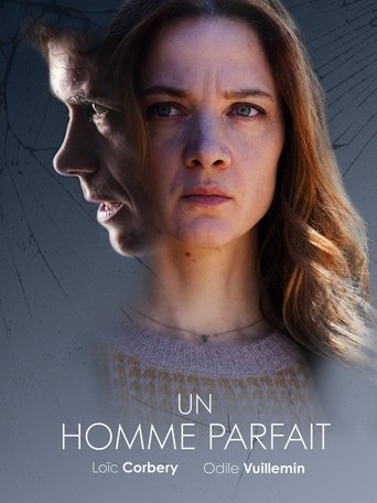 Póster de Un homme parfait