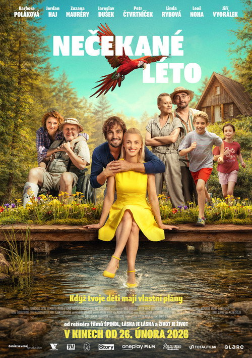 Póster de Nečekané léto
