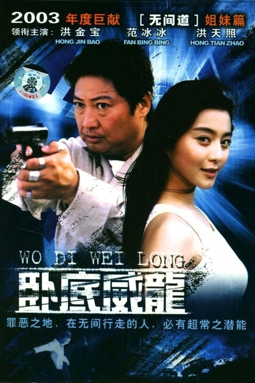 Póster de 臥底威龍