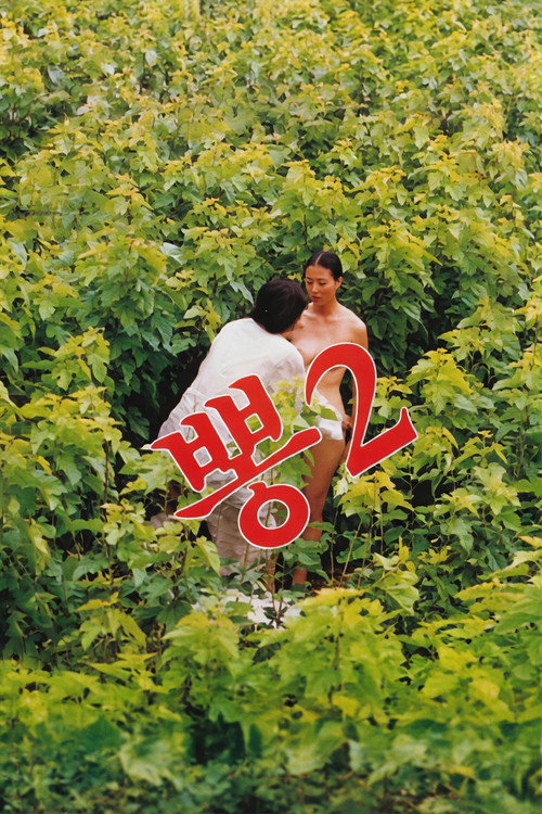 Póster de 뽕 2
