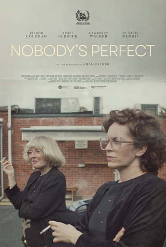 Póster de Nobody's Perfect