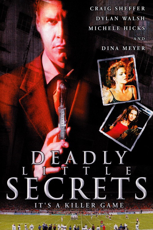 Póster de Deadly Little Secrets