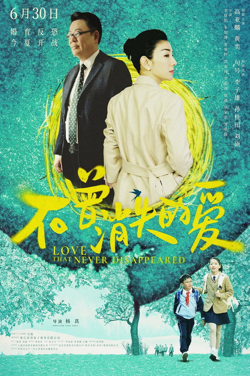 Póster de 不曾消失的爱