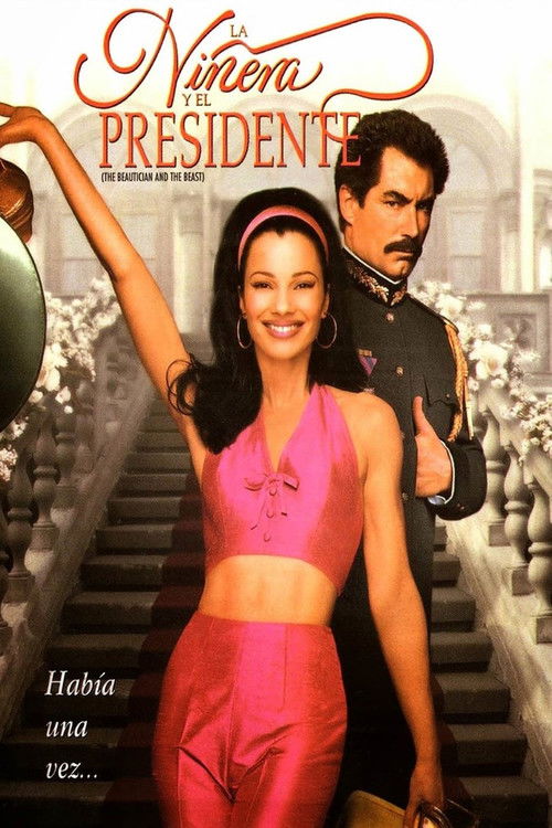 Póster de La Niñera y el Presidente
