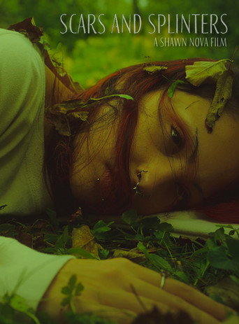 Póster de Scars and Splinters