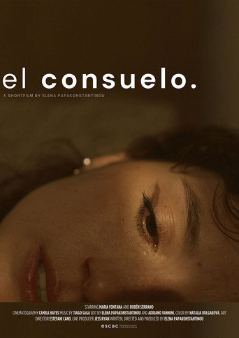 Póster de El Consuelo