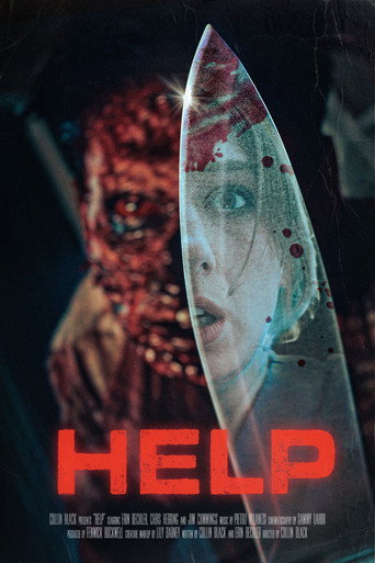 Póster de HELP