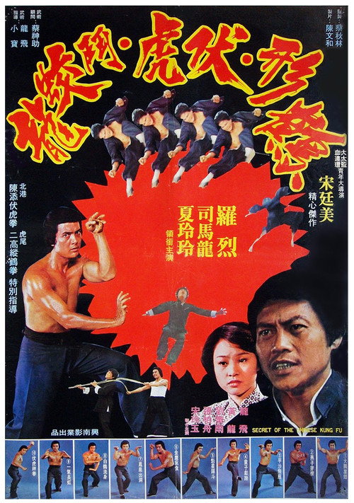 Póster de 鶴形伏虎鬥蚊龍
