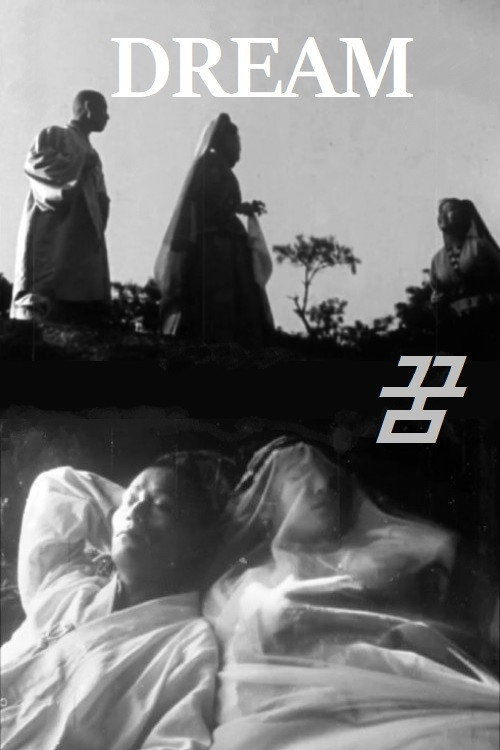 Póster de 꿈