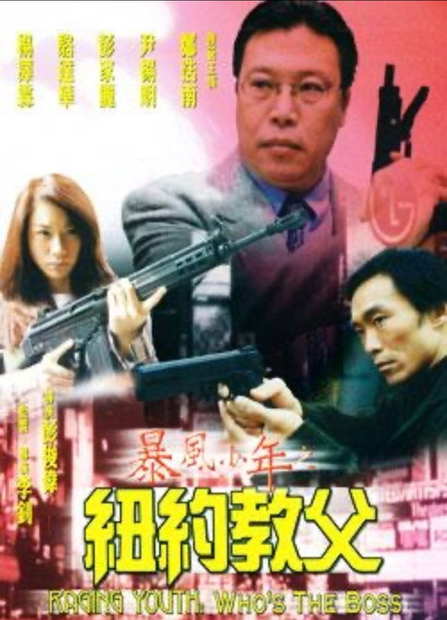 Póster de 暴風少年之紐約教父