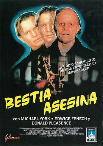 Póster de Un delitto poco comune