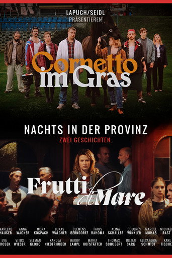 Póster de Nachts in der Provinz