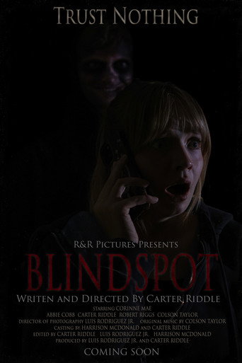 Póster de BLINDSPOT