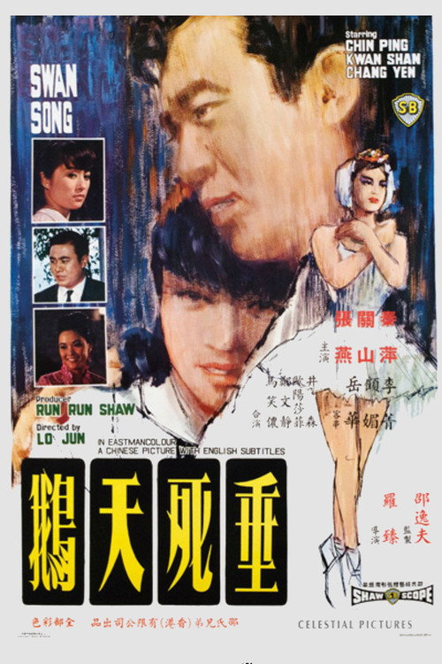 Póster de 垂死天鵝