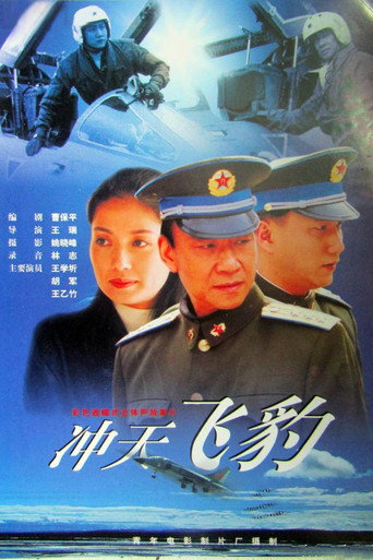 Póster de 冲天飞豹