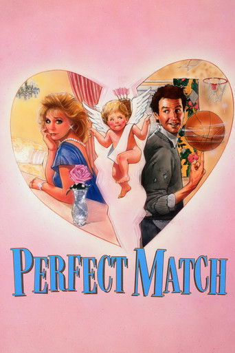 Póster de The Perfect Match