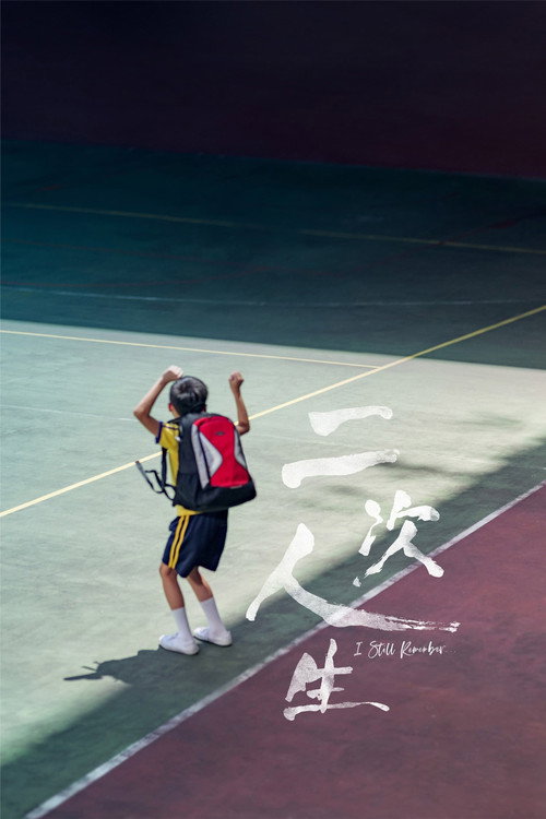 Póster de 二次人生