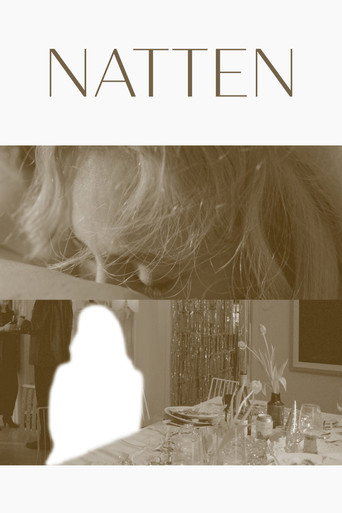 Póster de Natten