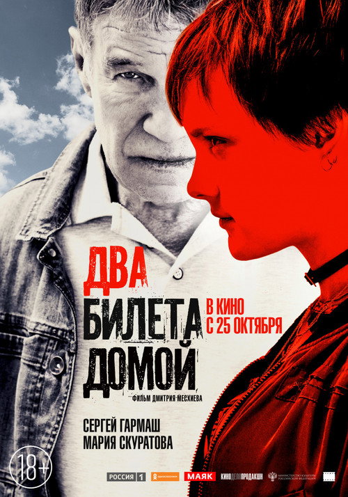 Póster de Два билета домой