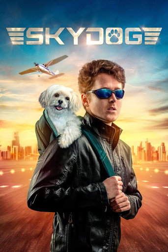 Póster de Perro aéreo