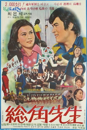 Póster de 총각선생