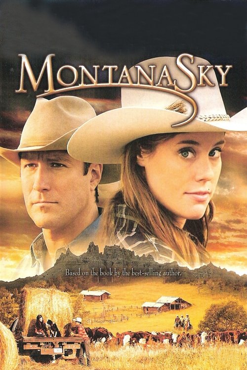 Póster de Nora Roberts' Montana Sky