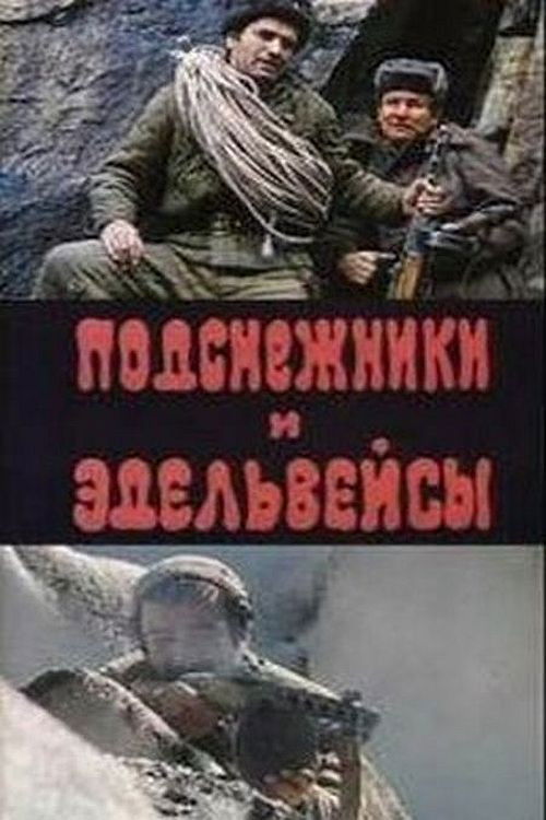 Póster de Ձնծաղիկներ և էդելվեյսներ