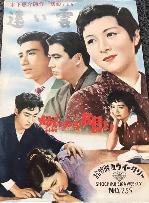 Póster de 燃ゆる限り